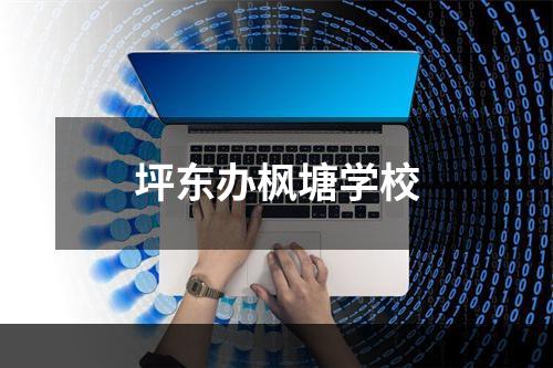 坪东办枫塘学校