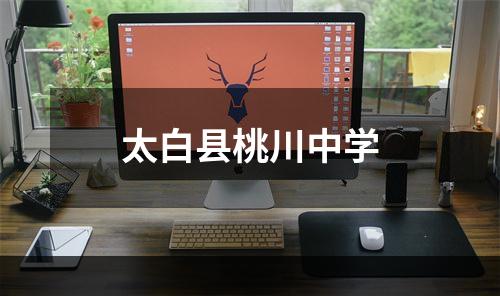 太白县桃川中学