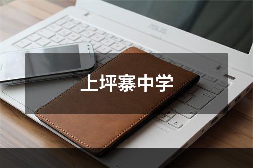 上坪寨中学