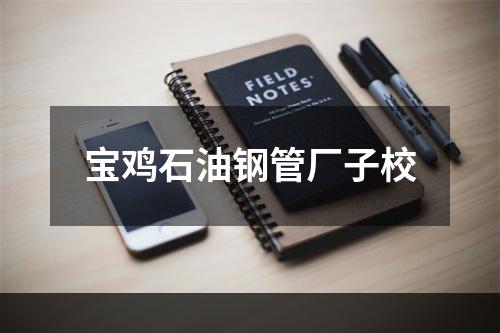 宝鸡石油钢管厂子校