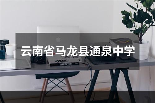 云南省马龙县通泉中学