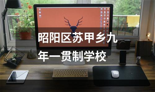 昭阳区苏甲乡九年一贯制学校