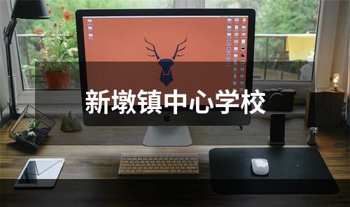 新墩镇中心学校