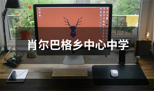 肖尔巴格乡中心中学