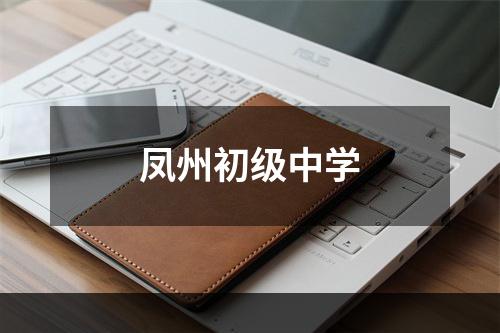 凤州初级中学