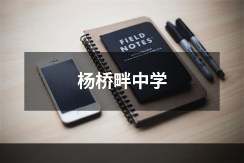 杨桥畔中学
