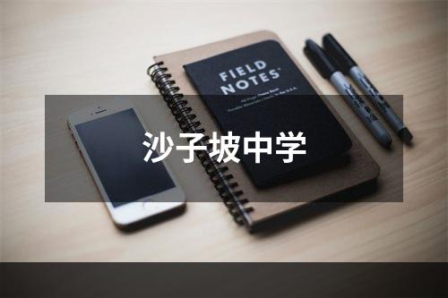 沙子坡中学