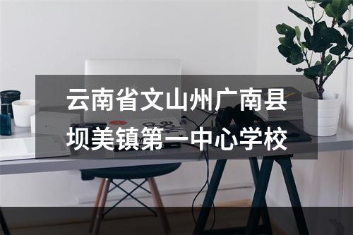 云南省文山州广南县坝美镇第一中心学校