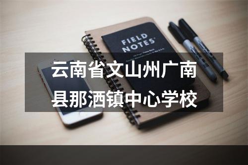 云南省文山州广南县那洒镇中心学校