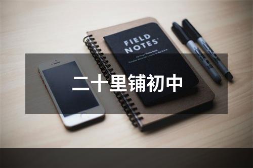 二十里铺初中