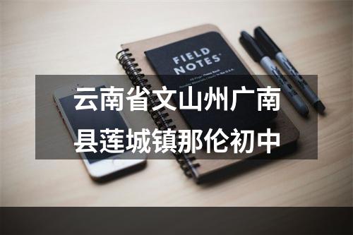 云南省文山州广南县莲城镇那伦初中