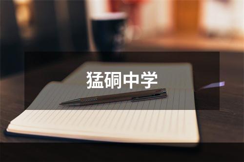 猛硐中学
