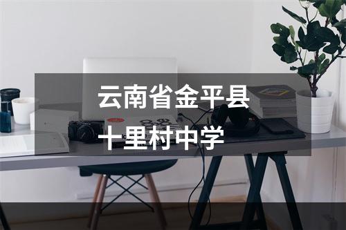 云南省金平县十里村中学