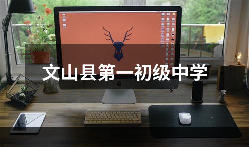 文山县第一初级中学