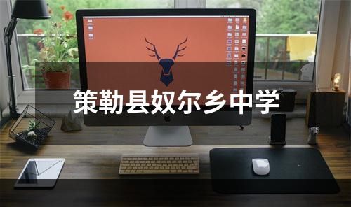 策勒县奴尔乡中学
