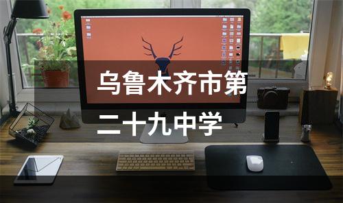 乌鲁木齐市第二十九中学
