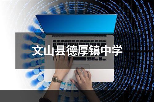 文山县德厚镇中学