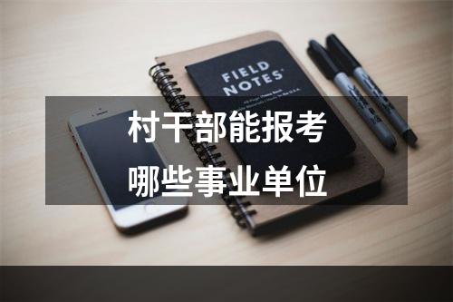 村干部能报考哪些事业单位
