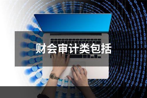 财会审计类包括