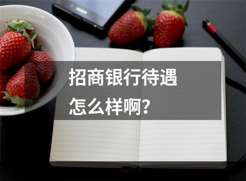招商银行待遇怎么样啊？