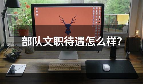 部队文职待遇怎么样？