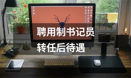 聘用制书记员转任后待遇