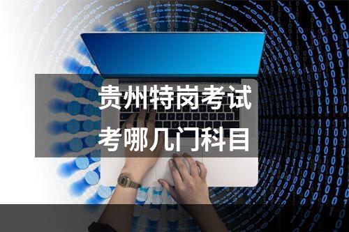 贵州特岗考试考哪几门科目