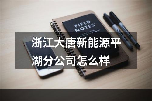 浙江大唐新能源平湖分公司怎么样