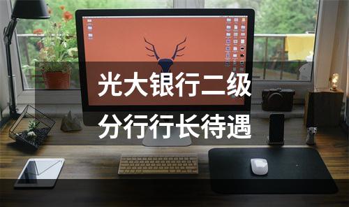光大银行二级分行行长待遇
