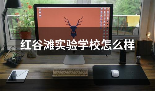 红谷滩实验学校怎么样
