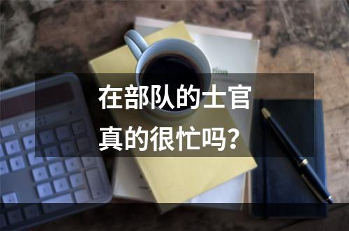 在部队的士官真的很忙吗？
