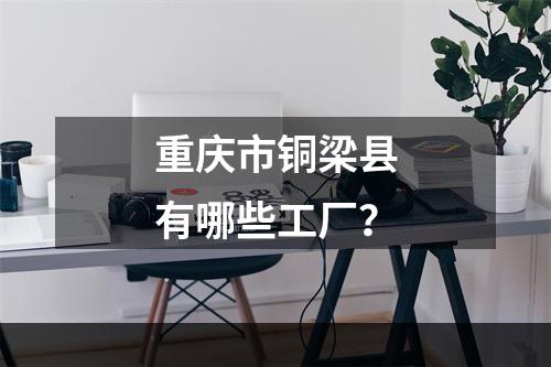 重庆市铜梁县有哪些工厂？