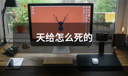天给怎么死的