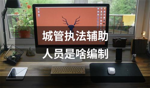 城管执法辅助人员是啥编制