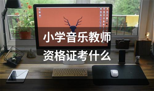小学音乐教师资格证考什么