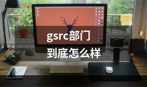 gsrc部门到底怎么样