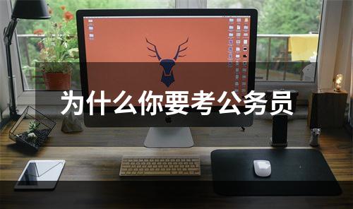 为什么你要考公务员