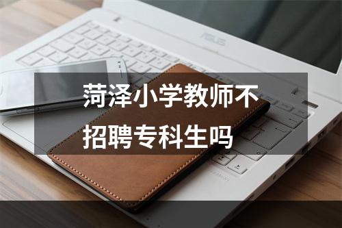 菏泽小学教师不招聘专科生吗