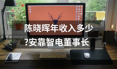 陈晓晖年收入多少?安靠智电董事长
