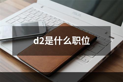 d2是什么职位