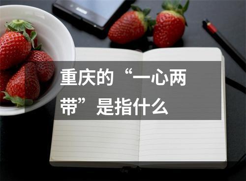重庆的“一心两带”是指什么