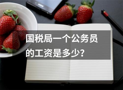 国税局一个公务员的工资是多少？