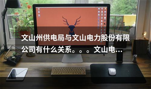 文山州供电局与文山电力股份有限公司有什么关系。。。文山电力股份有限公司好不好呢