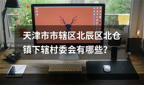 天津市市辖区北辰区北仓镇下辖村委会有哪些？