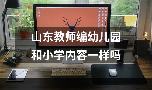 山东教师编幼儿园和小学内容一样吗