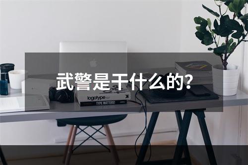 武警是干什么的？