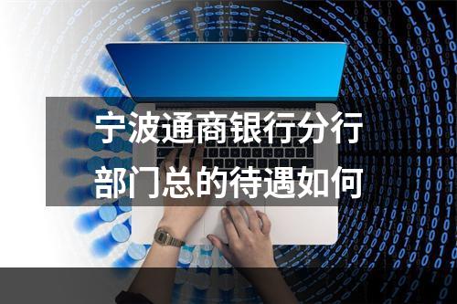 宁波通商银行分行部门总的待遇如何