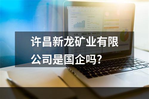 许昌新龙矿业有限公司是国企吗?