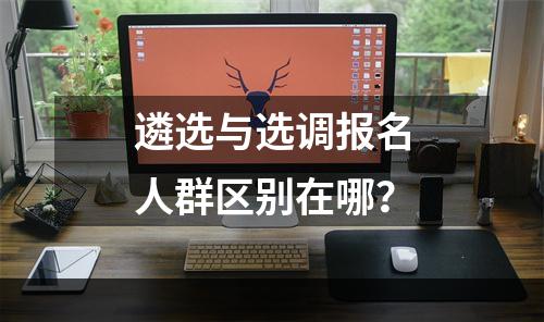 遴选与选调报名人群区别在哪？
