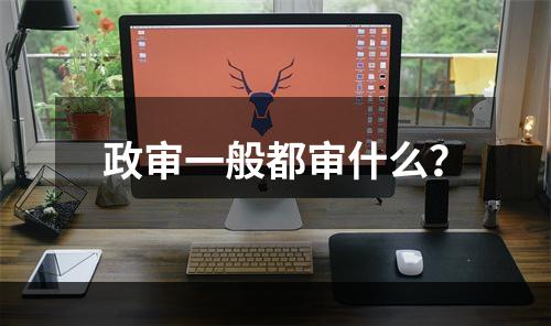 政审一般都审什么？